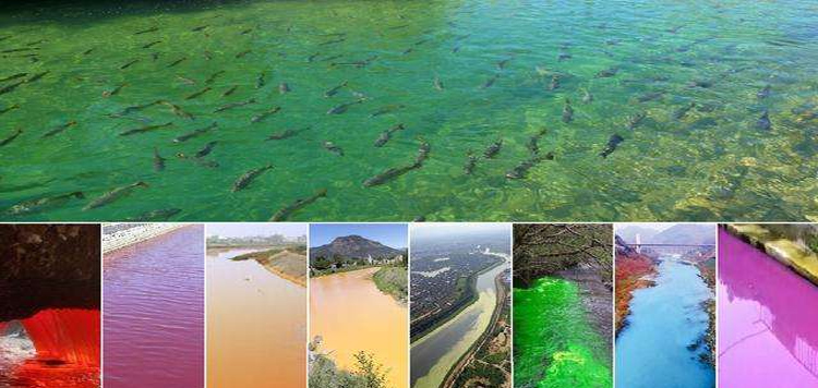 ���ʹȾ�ϏUˮÓɫ��