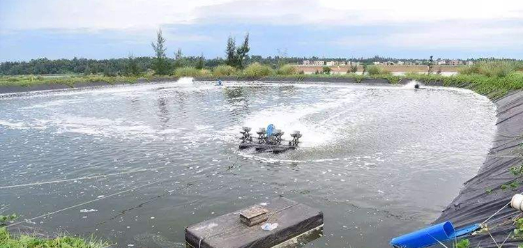 �B(y��ng)ֳ�Uˮȥɫ��ʲô���B(y��ng)ֳ��(ch��ng)�UˮÓɫ��